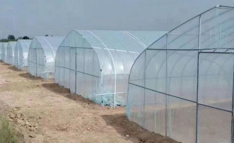 Hivernacles Agrícoles Comercials