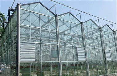 Hivernacle Multi Span